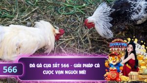 Đá Gà Cựa Sắt 566 - Giải Pháp Cá Cược Vạn Người Mê!